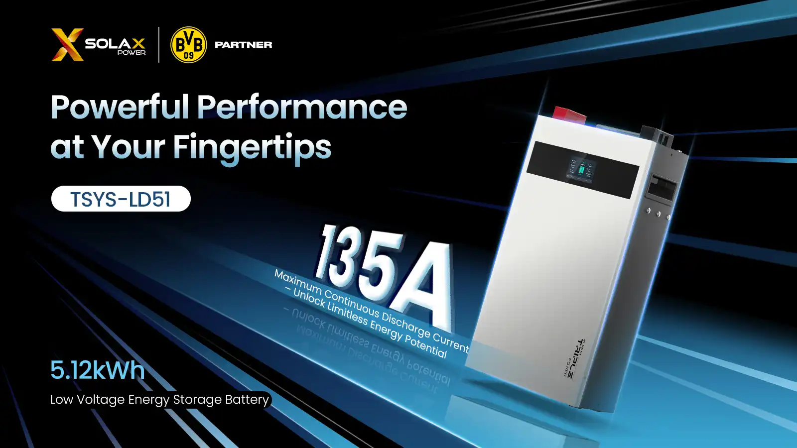 Solax Power TSYS-LD51 low-voltage battery – energy storage solution for solarkit, pvsolarstore, and wholesale solarshop