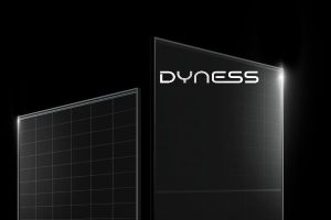 Dyness B2B price list download for battery energy storage, professional solar installers and wholesalers in Europe